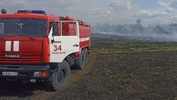 Белгородские огнеборцы ликвидировали 78 пожаров на территории региона за минувшую неделю