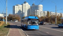 Расписание общественного транспорта в Белгородской агломерации изменится в День России