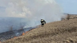 Белгородские огнеборцы ликвидировали 84 пожара на территории региона за минувшую неделю