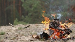 Особый противопожарный режим объявлен на территории Белгородской области