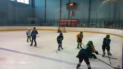 Первенство по хоккею с шайбой прошло в Белгородском районе