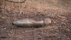 Белгородец обнаружил боеприпас в лесопосадке
