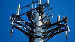 115 вышек сотовой связи установили власти Белгородской области с 2019 года