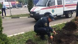Рабочие нашли боеприпас под Белгородом