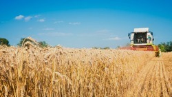 Вячеслав Гладков: «Наши сельхозпроизводители готовятся к посевной»