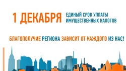 Жители Белгородской области должны оплатить налоги до 2 декабря
