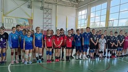 Первенство детско-юношеской спортивной школы по волейболу прошло в Белгородском районе