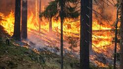 Особый пожароопасный режим продлится в Белгородской области до 29 июня