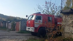 Огнеборцы выезжали 11 раз на ликвидацию пожаров в Белгородской области за минувшую неделю