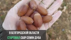 Материал