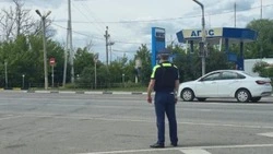 Белгородские госавтоинспекторы выявили 253 нарушения ПДД с 15 по 22 июня