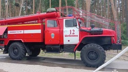 Белгородские огнеборцы ликвидировали 20 пожаров на территории региона за прошедшую неделю