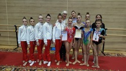Кубок Белгородской области по художественной гимнастике завершился