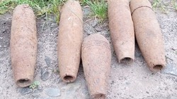 Белгородские взрывотехники ликвидировали 12 боеприпасов времён ВОВ за минувшую неделю