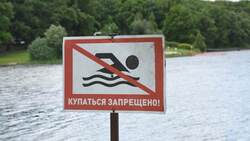 Специалисты запретили купание на нескольких пляжах в Белгороде