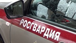 Белгородские росгвардейцы задержали находившегося в оперативном розыске мужчину