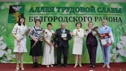 Новые имена  на Аллее Трудовой Славы