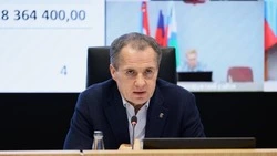 Вячеслав Гладков сообщил о пострадавшей в результате атаки ВСУ мирной жительнице в селе Толоконное