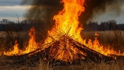 Белгородцев призвали соблюдать правила безопасности при сжигании травы весной