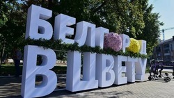 «Белгород в цвету» пройдёт в областном центре в третий раз