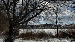 Потепление придёт в Белгородскую область 1 марта