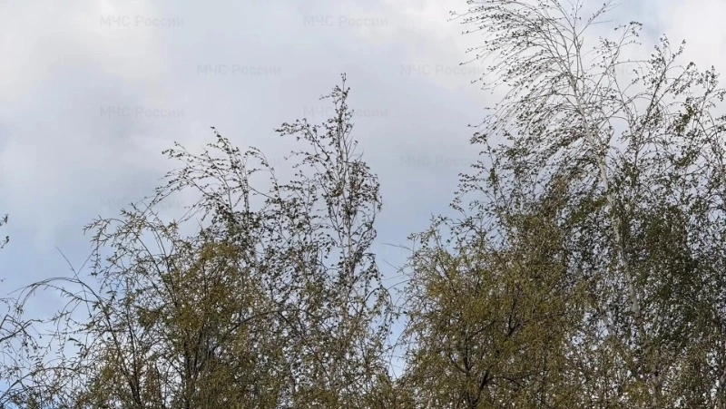 Облачная с прояснениями погода ожидается в Белгородской области 27 мая
