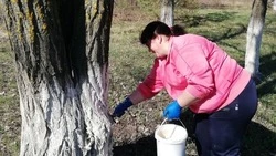 Сотрудники управления соцзащиты Белгородского района присоединились к участию в субботнике