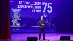 Белгородские электрические сети отметили 75-летие
