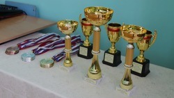 Областной турнир по настольному теннису «Кубок Ника» состоялся в Никольской школе