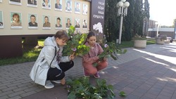Экологическая акция прошла в Бессоновке Белгородского района