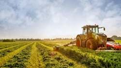 Более 230 млн рублей получили 126 белгородских сельхозпроизводителей 