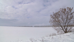Снегопад в Белгородской области сможет компенсировать дефицит влаги