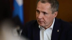 Вячеслав Гладков: 12 БПЛА атаковали Белгородский округ за сутки