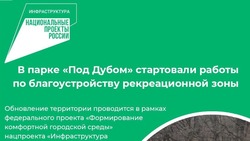 Специалисты приступили к работам по благоустройству рекреационной зоны в парке «Под Дубом»