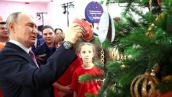 Владимир Путин осуществит мечту белгородской девочки в рамках акции «Ёлка желаний»