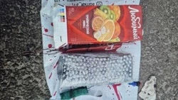 Житель Новосибирской области понесёт наказание за попытку совершения теракта в Белгородской области