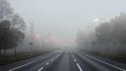 Туман ожидается в Белгородской области 2 апреля
