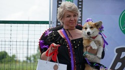«Выставка беспоДоБных собак» прошла в Белгородском аграрном университете имени В.Я. Горина