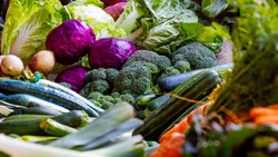 Владельцы личных подсобных хозяйств Белгородской области продали более 360 тонн овощей