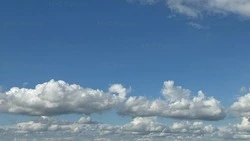 Температура воздуха достигнет 34 градусов тепла в Белгородской области 30 июля
