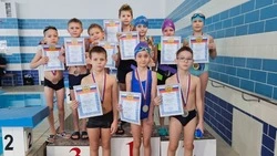 Команда ДЮСШ Белгородского района выступила на соревнованиях по плаванию «Кубок спринтера»