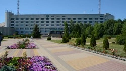 Начальник Центра карьерных технологий БелГАУ Оксана Золотарёва – о целевом обучении в вузе