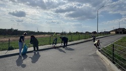Всероссийский субботник в рамках Дня добровольного служения региону прошёл в Белгородском районе