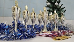 Первенство ДЮСШ Белгородского района по плаванию прошло в Разумном