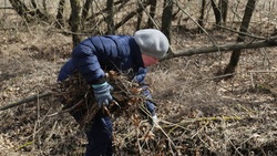 Работники культуры из Белгородского района присоединились к экологическим акциям