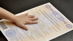 Семьи из Белгородской области чаще всего направляют маткапитал на решение «квартирного вопроса»
