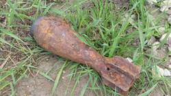Белгородец обнаружил боеприпас времён Великой Отечественной войны в лесопосадке в Дубовом