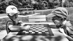 Юные жители Стрелецкого сразились в шахматы и шашки