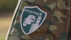 Вячеслав Гладков – о вступлении белгородских чиновников в «Барс-Белгород»