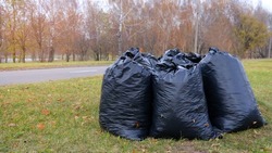 Сотрудники ЦЭБ Белгородской области рассказали о видах отходов и порядке их вывоза